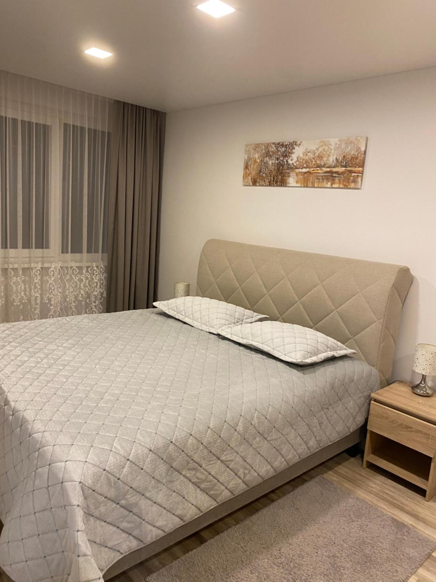 Apartments Victoria Panevėžys Zewnętrze zdjęcie